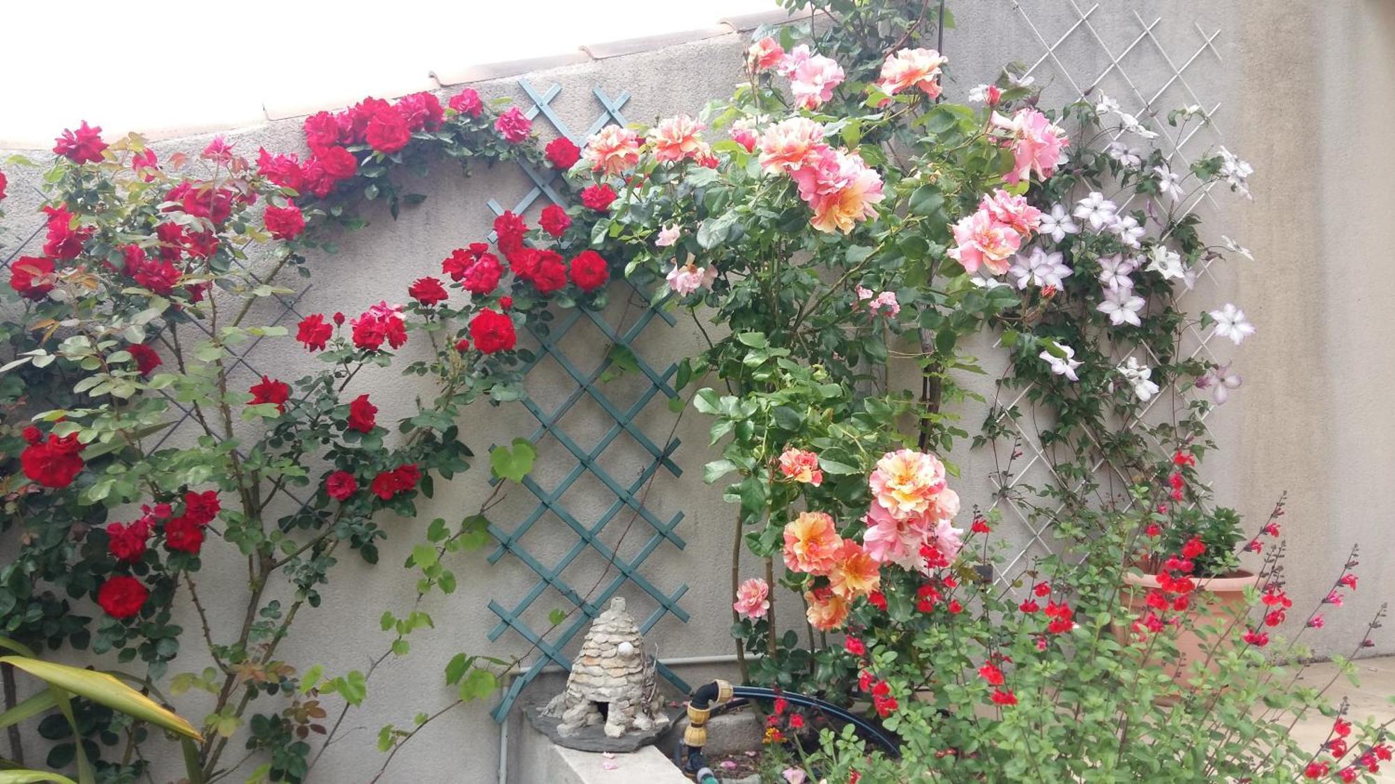 Au Bon Penequet Bed & Breakfast Pujaut Exterior foto